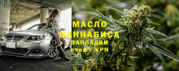 индика Семикаракорск