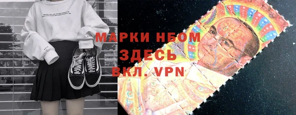 хмурый Сатка