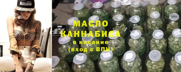 индика Семикаракорск