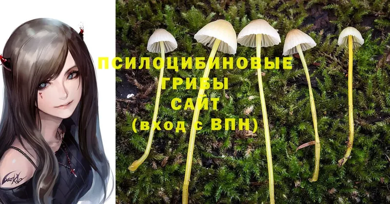 Псилоцибиновые грибы MAGIC MUSHROOMS Уварово