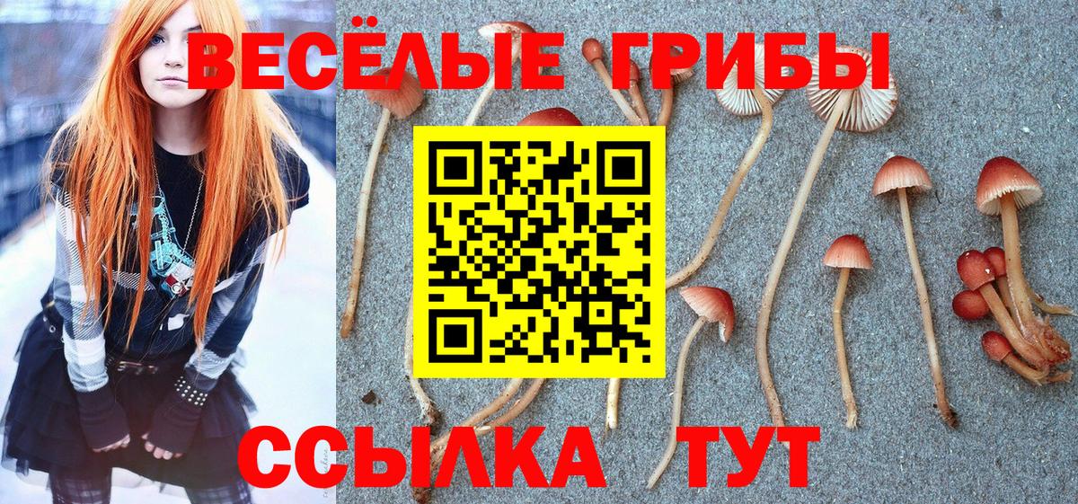 Галлюциногенные грибы GOLDEN TEACHER Уварово
