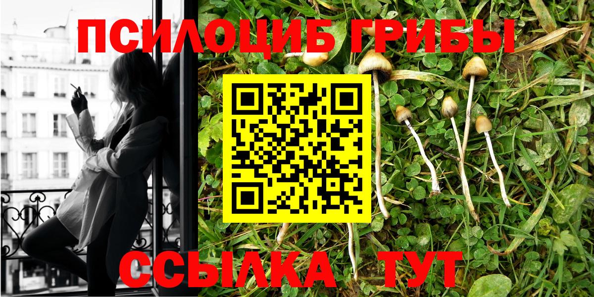 Галлюциногенные грибы MAGIC MUSHROOMS  Уварово  Галлюциногенные грибы мицелий 