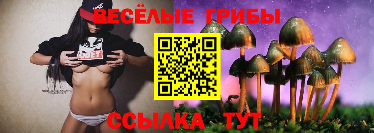 Псилоцибиновые грибы мухоморы Уварово